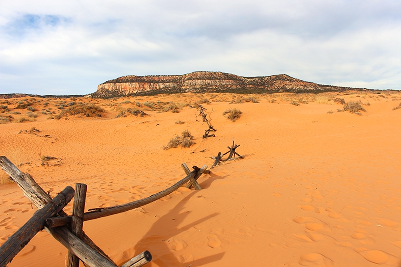 Coral Pink Sand Dunes Utah