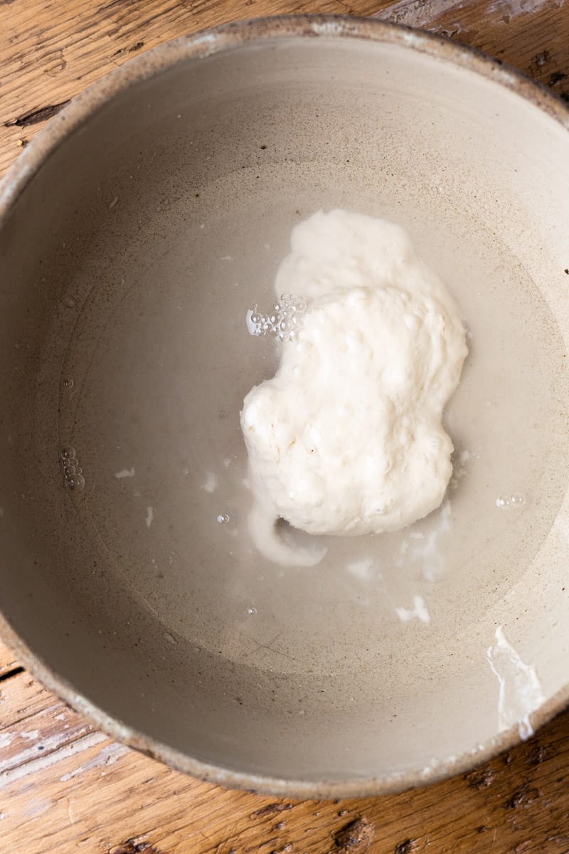 sourdough stater and water in a bowl
