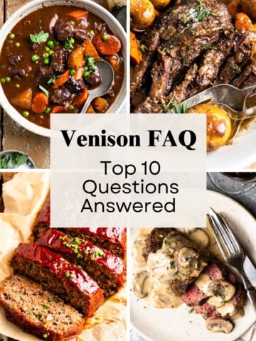 Four images: venison stew, venison roast, venison meatloaf and venison steak with text overlay that says "Venison FAQ: Top 10 Questions Answered"